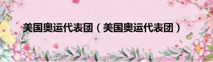 美国奥运代表团（美国奥运代表团）