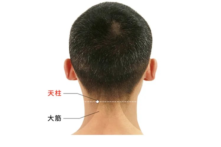 天柱准确位置图和作用及功效