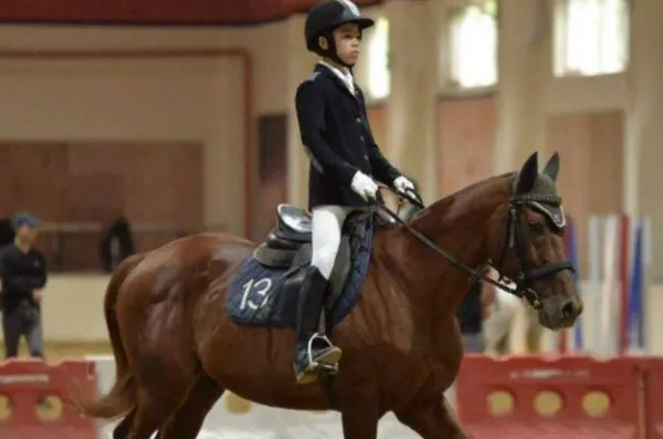 学马术有什么好处