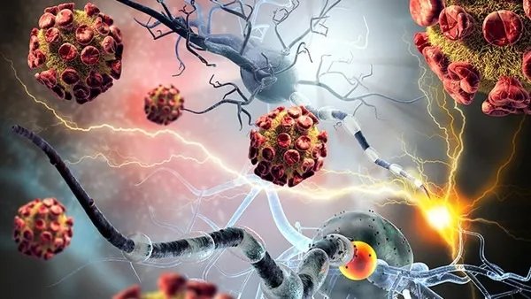 奥密克戎和德尔塔哪个更厉害？奥密克戎毒株与德尔塔有什么区别？