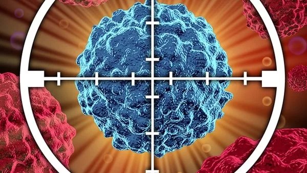 北京新增本土确诊14例 疫情下居家如何防护