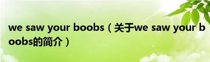 we saw your boobs（关于we saw your boobs的简介）