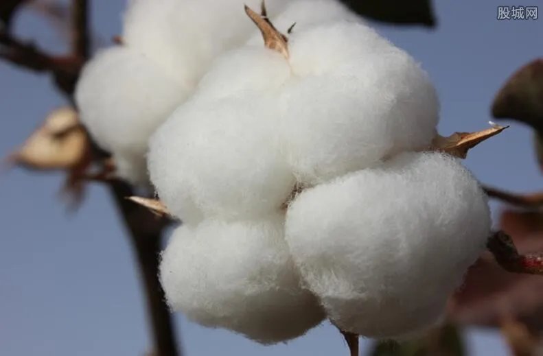 新疆棉花前因后果 拒绝使用的品牌有哪些？