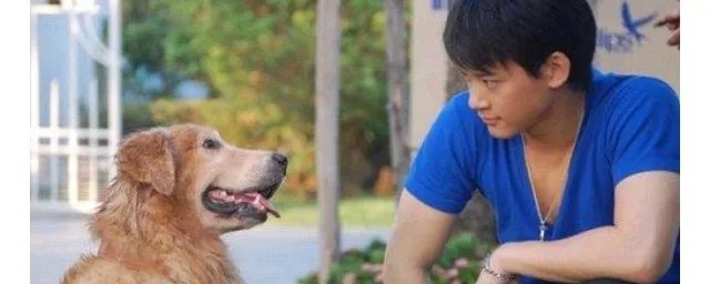 爱在旅途大结局 泰剧爱在旅途讲的是什么