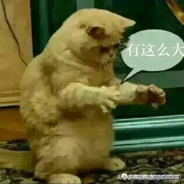 为什么美国感染人数超过总人数