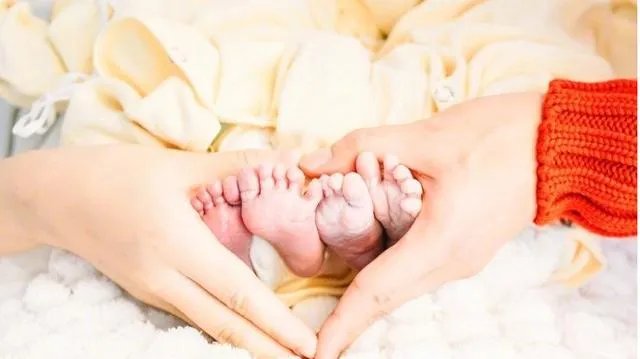 范冰冰怀孕生双胞胎女儿