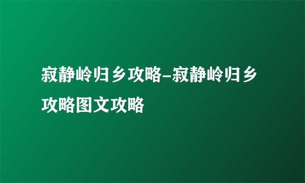 寂静岭归乡攻略-寂静岭归乡攻略图文攻略