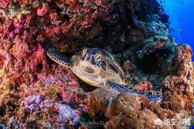 热浪岛旅游攻略有哪些?