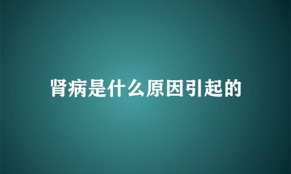 肾病是什么原因引起的