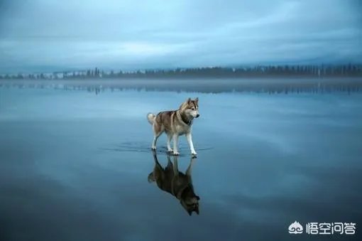 最冷的冬天是怎样的呢?