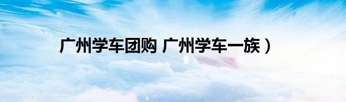 广州学车团购 广州学车一族）