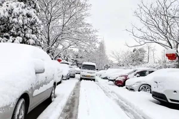 沈阳8日全市学校停课一天，停课的原因是什么？