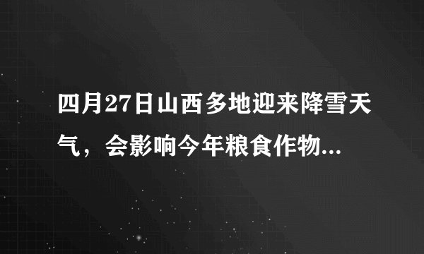 四月27日山西多地迎来降雪天气,会影响今年粮食作物产量吗?