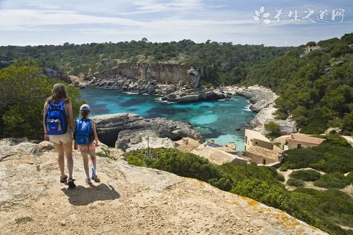 摔角看点信息：摔角狂热28直播后发生了什么？