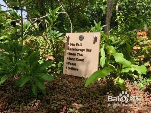 马尔代夫旅游报价---满月岛自由行价格及攻略