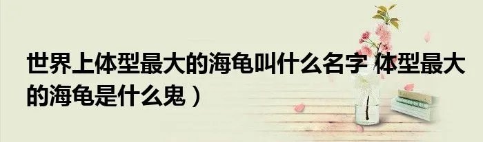 世界上体型最大的海龟叫什么名字 体型最大的海龟是什么鬼）
