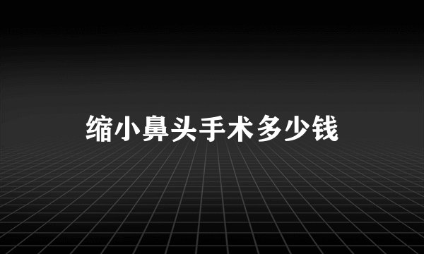 缩小鼻头手术多少钱