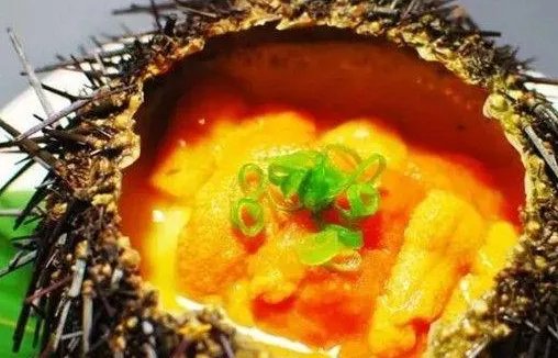 三亚海胆蒸蛋事件当事人道歉，这具体是怎么回事？