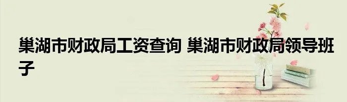 巢湖市财政局工资查询 巢湖市财政局领导班子