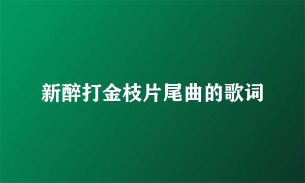 新醉打金枝片尾曲的歌词