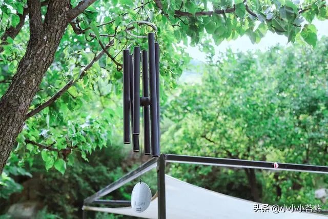 夏天去哪里旅游比较好？