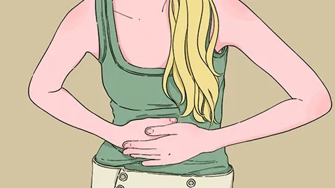 月经排卵期计算器准吗