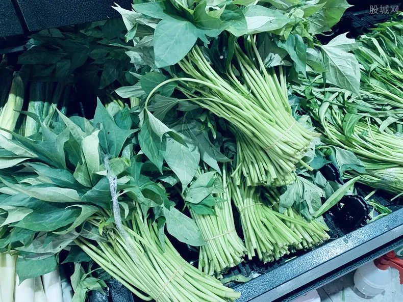 近期蔬菜价格为何跳涨 主要的原因是什么？