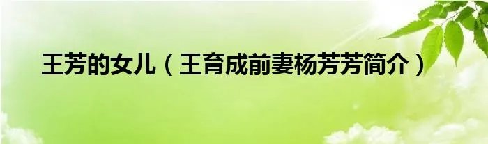 王芳的女儿（王育成前妻杨芳芳简介）