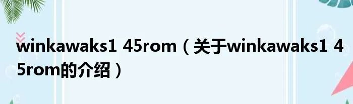 winkawaks1 45rom（关于winkawaks1 45rom的介绍）