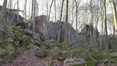 胆结石偏方 患者要选择合适的偏方