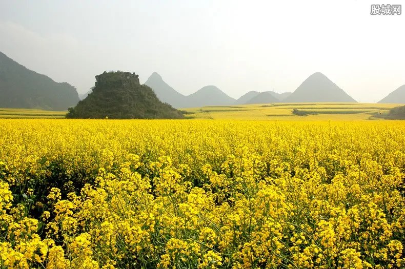 清明自驾游去哪里好玩 2019旅游好去处推荐！