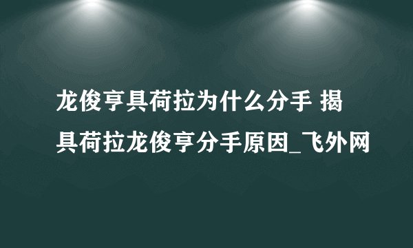 龙俊亨具荷拉为什么分手 揭具荷拉龙俊亨分手原因_飞外网