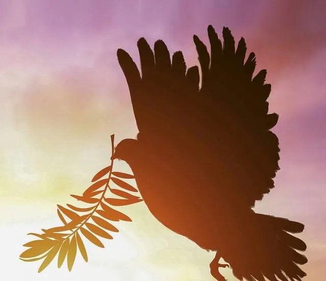 女副校长在课堂上与学生对骂后被开除，你怎么看待这件事？