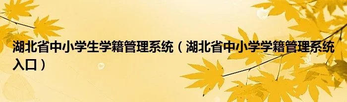 湖北省中小学生学籍管理系统（湖北省中小学学籍管理系统入口）