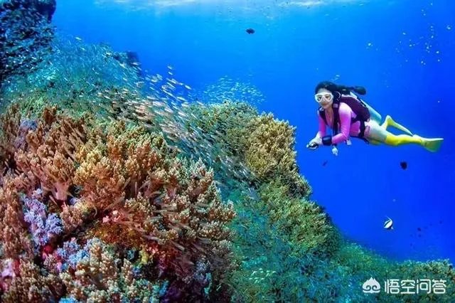 热浪岛旅游攻略有哪些?