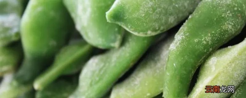 九月青豆角产自哪个村