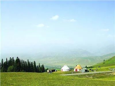 情牵那拉提的故事简介