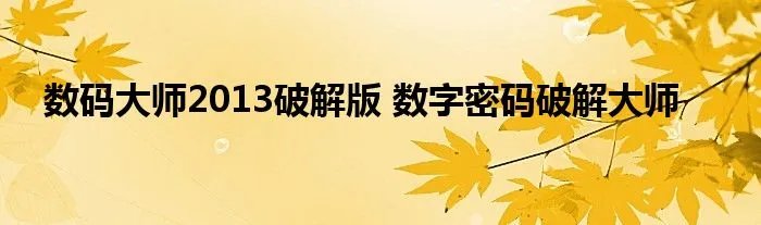数码大师2013破解版 数字密码破解大师