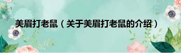 美眉打老鼠（关于美眉打老鼠的介绍）