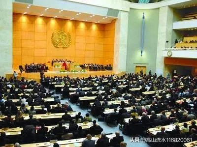 美国退出世卫组织有何后果?