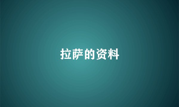 拉萨的资料