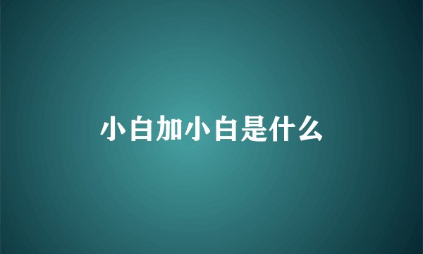 小白加小白是什么