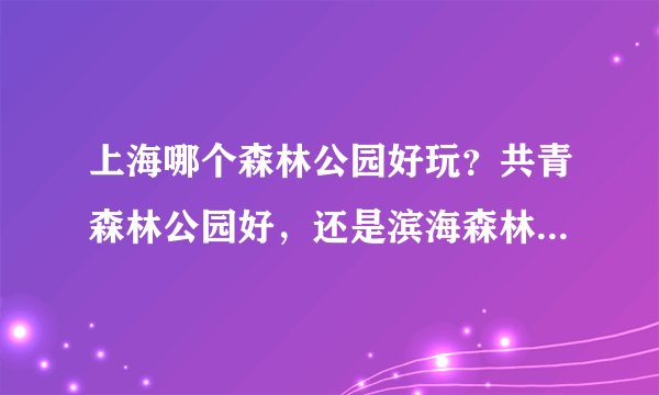 上海哪个森林公园好玩？共青森林公园好，还是滨海森林公园好？