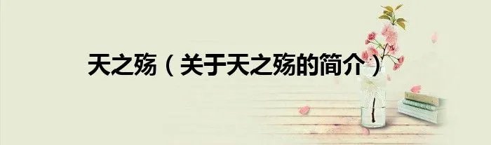 天之殇（关于天之殇的简介）