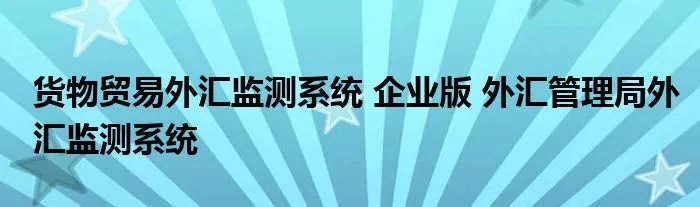 货物贸易外汇监测系统 企业版 外汇管理局外汇监测系统