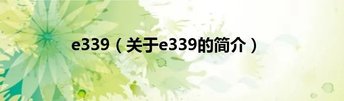 e339（关于e339的简介）