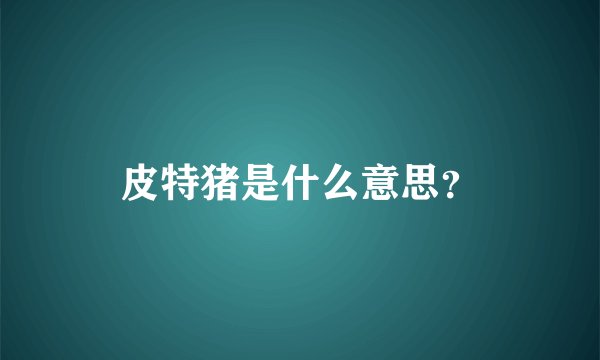 皮特猪是什么意思？