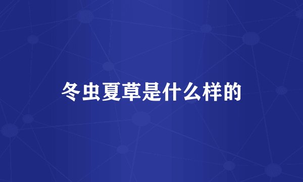 冬虫夏草是什么样的