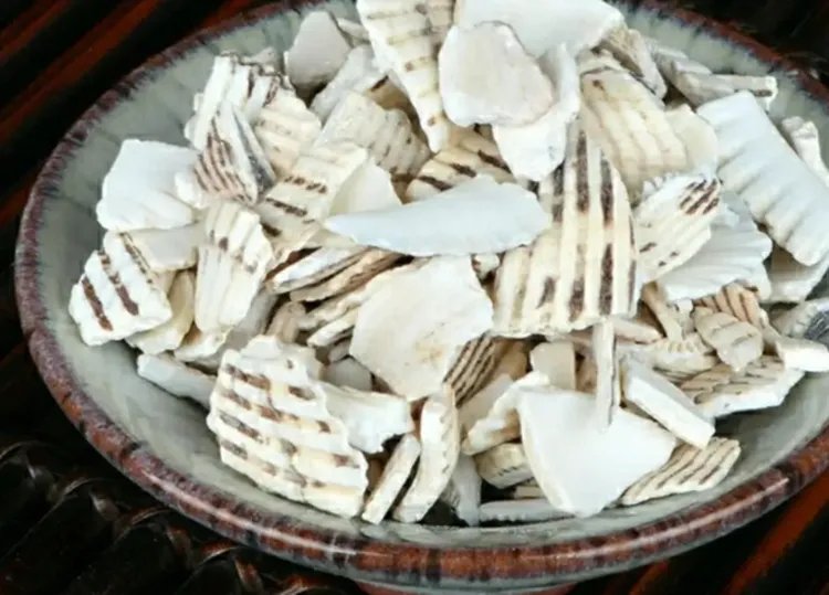 煅瓦楞子的功效与作用