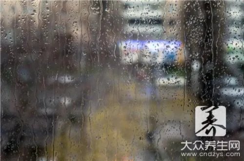 加湿器真的有用吗